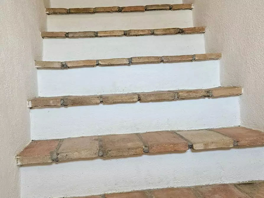 Immagine 46 di Rustico / casale in vendita  in via Salvamaggio 1 a Colli Al Metauro