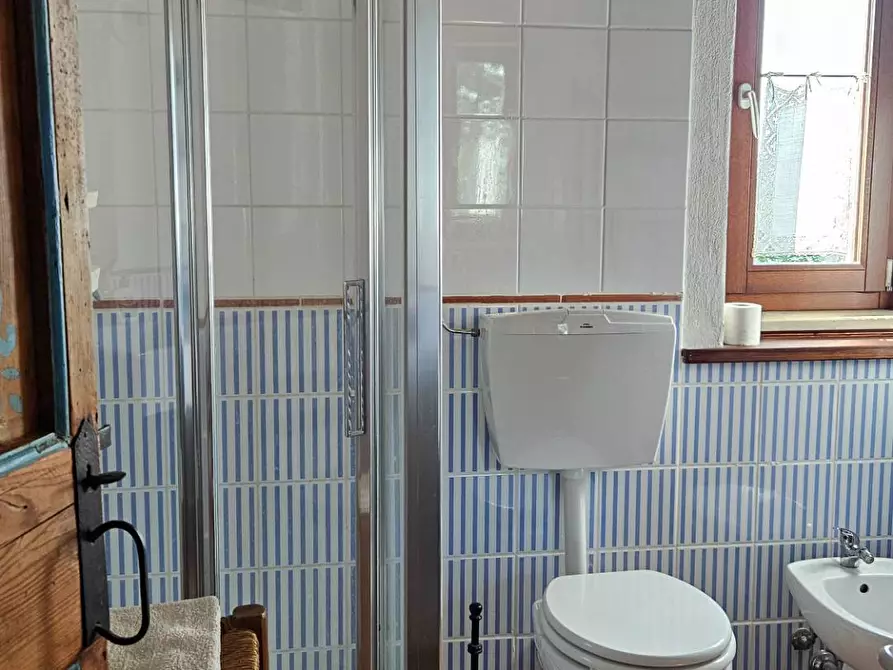 Immagine 58 di Rustico / casale in vendita  in via Salvamaggio 1 a Colli Al Metauro