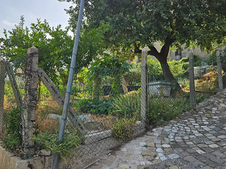 Immagine 4 di Casa semindipendente in vendita  in Via Santa Susanna 1 a Mombaroccio