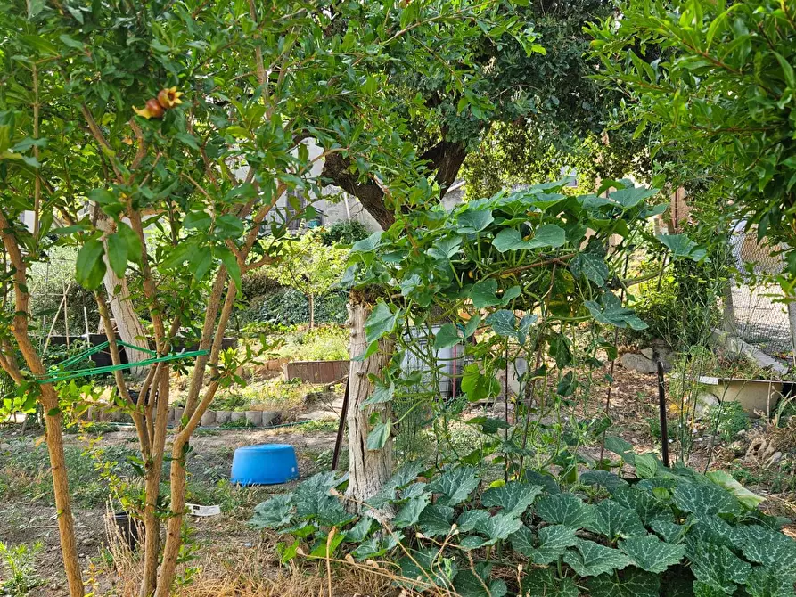 Immagine 7 di Casa semindipendente in vendita  in Via Santa Susanna 1 a Mombaroccio