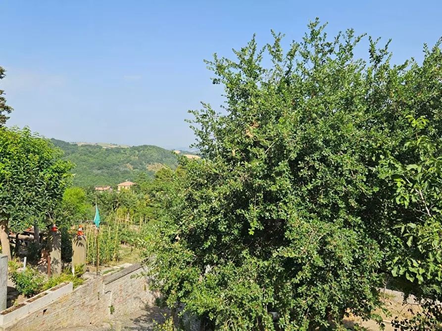 Immagine 18 di Casa semindipendente in vendita  in Via Santa Susanna 1 a Mombaroccio