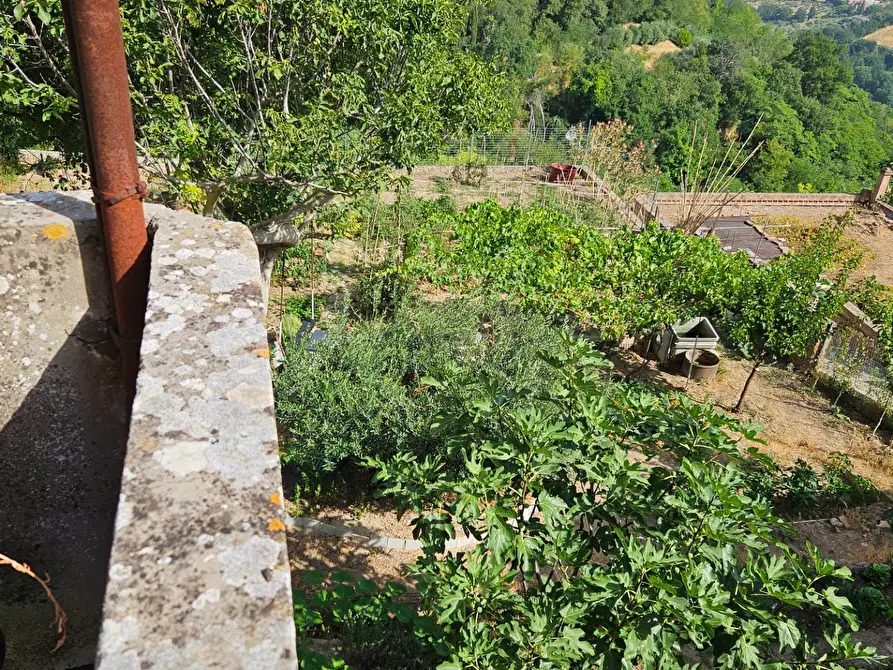 Immagine 20 di Casa semindipendente in vendita  in Via Santa Susanna 1 a Mombaroccio