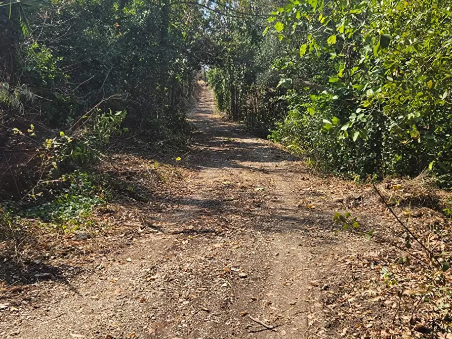 Immagine 10 di Rustico / casale in vendita  in Via Sant' Agostino 5 a Terre Roveresche
