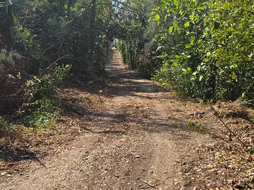 Immagine 11 di Rustico / casale in vendita  in Via Sant' Agostino 5 a Terre Roveresche