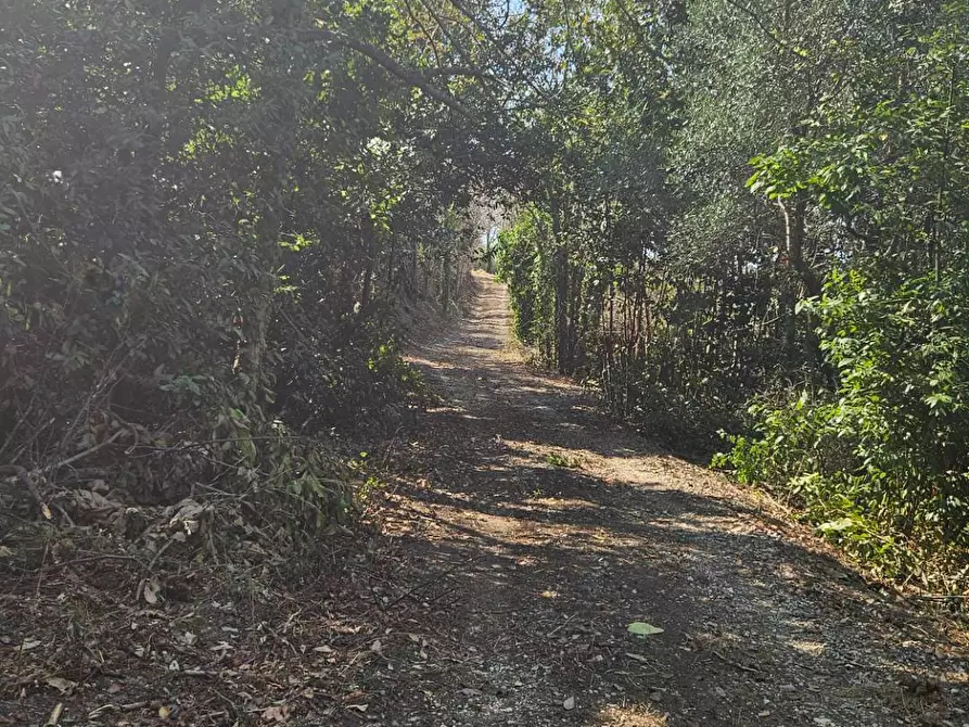Immagine 12 di Rustico / casale in vendita  in Via Sant' Agostino 5 a Terre Roveresche