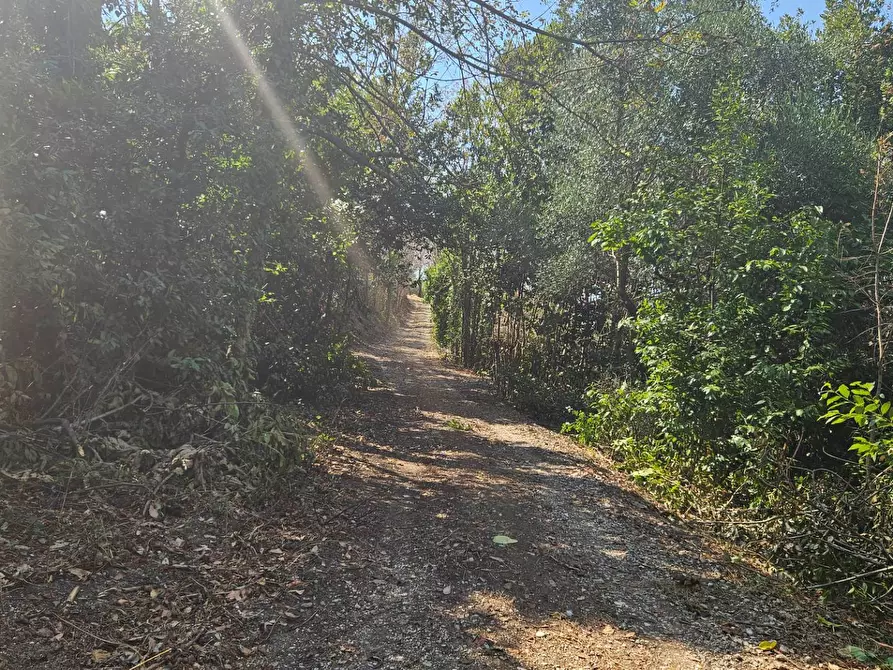 Immagine 13 di Rustico / casale in vendita  in Via Sant' Agostino 5 a Terre Roveresche