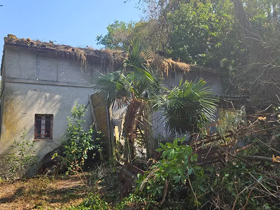 Immagine 14 di Rustico / casale in vendita  in Via Sant' Agostino 5 a Terre Roveresche