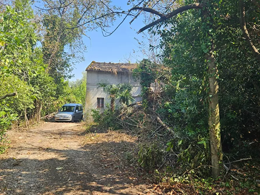 Immagine 15 di Rustico / casale in vendita  in Via Sant' Agostino 5 a Terre Roveresche