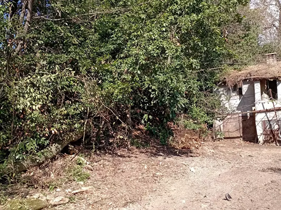 Immagine 16 di Rustico / casale in vendita  in Via Sant' Agostino 5 a Terre Roveresche