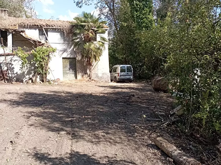 Immagine 19 di Rustico / casale in vendita  in Via Sant' Agostino 5 a Terre Roveresche