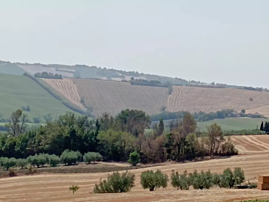 Immagine 20 di Rustico / casale in vendita  in Via Sant' Agostino 5 a Terre Roveresche