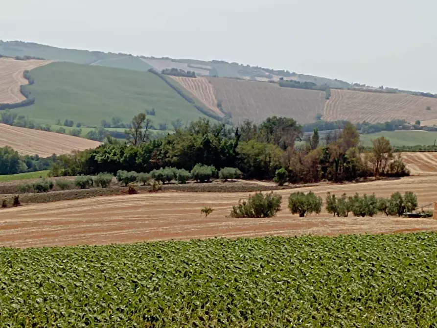 Immagine 22 di Rustico / casale in vendita  in Via Sant' Agostino 5 a Terre Roveresche