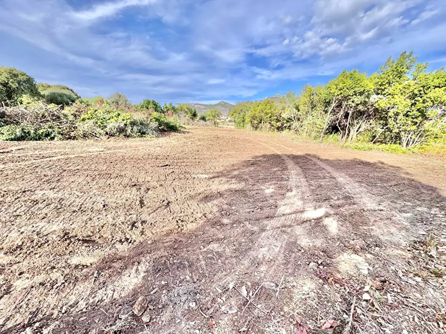 Immagine 2 di Terreno agricolo in vendita  in vicolo parisi a Palermo