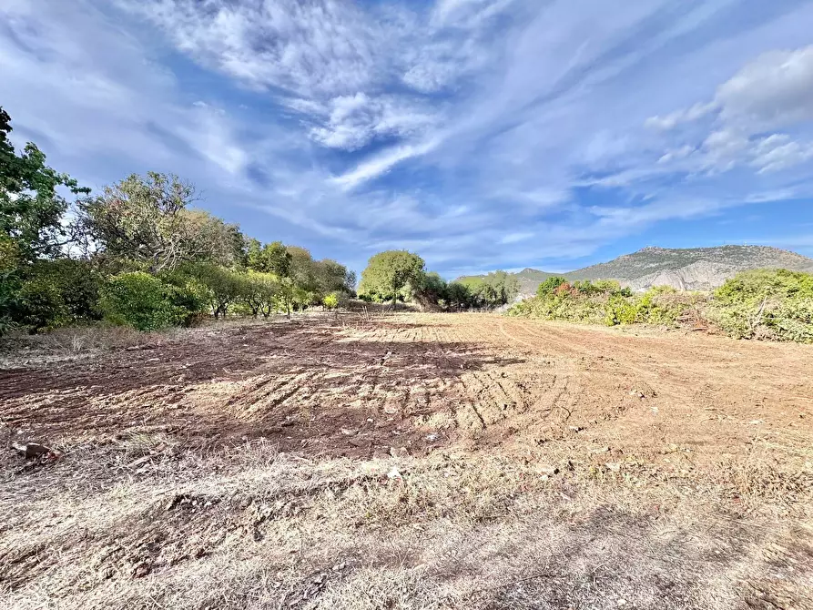 Immagine 4 di Terreno agricolo in vendita  in vicolo parisi a Palermo