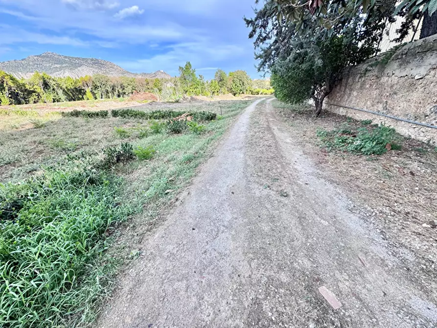 Immagine 7 di Terreno agricolo in vendita  in vicolo parisi a Palermo