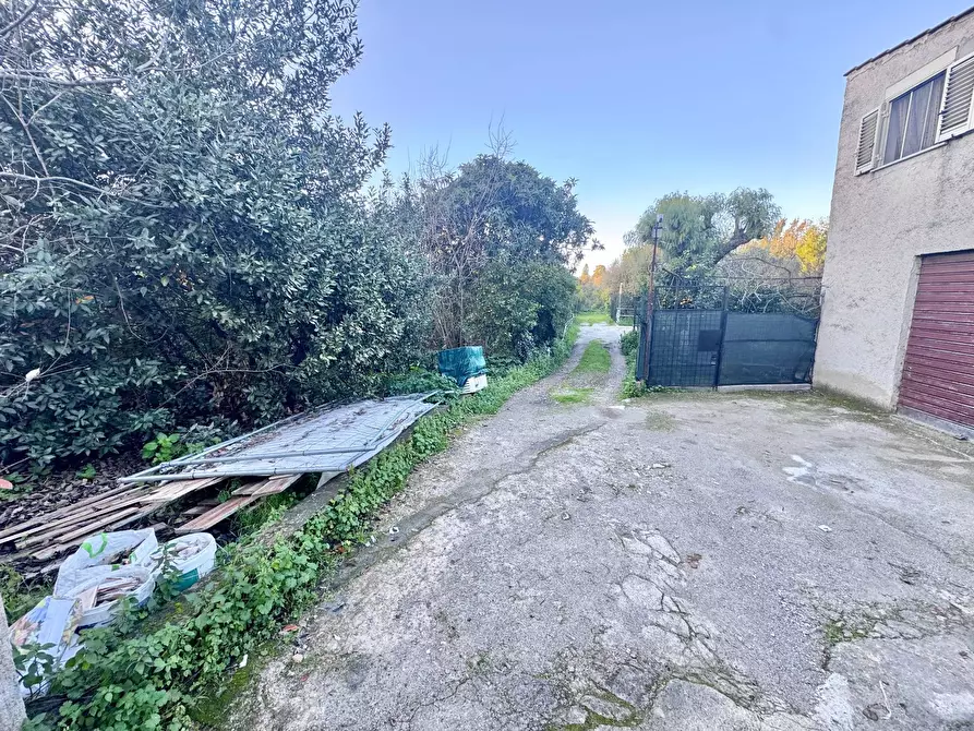 Immagine 3 di Terreno agricolo in vendita  in Via Sibari a Palermo