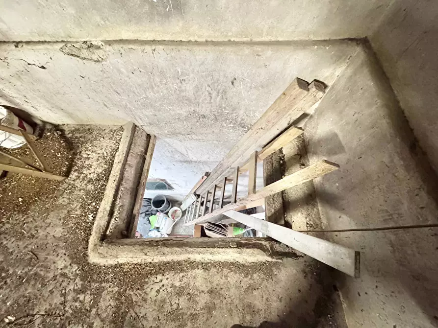 Immagine 6 di Magazzino in vendita  in Via Filippo Brunetto 6 a Palermo