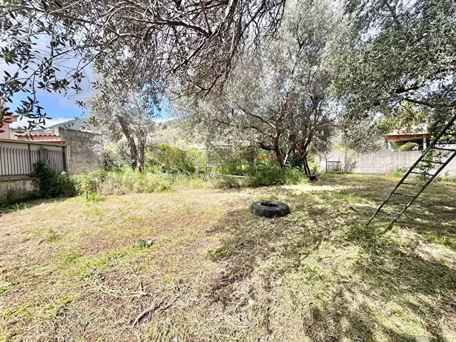 Immagine 3 di Terreno agricolo in affitto  in Via Luigi Cosenz a Palermo