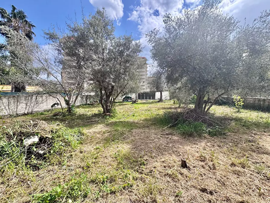 Immagine 4 di Terreno agricolo in affitto  in Via Luigi Cosenz a Palermo