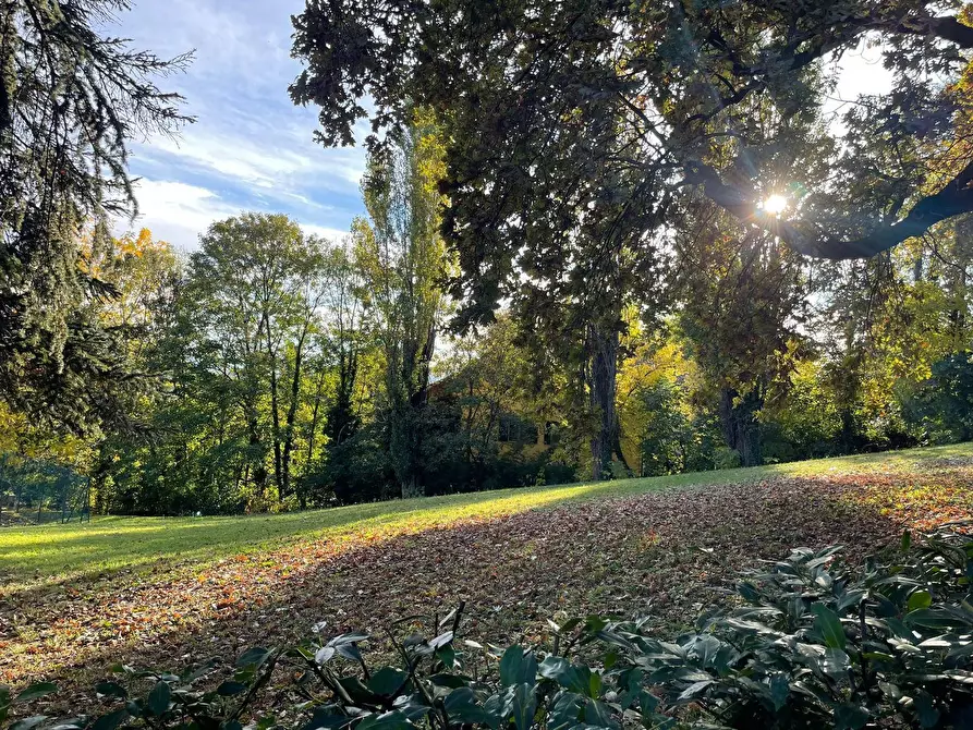 Immagine 47 di Appartamento in vendita  in Strada Milius 3 a Moncalieri