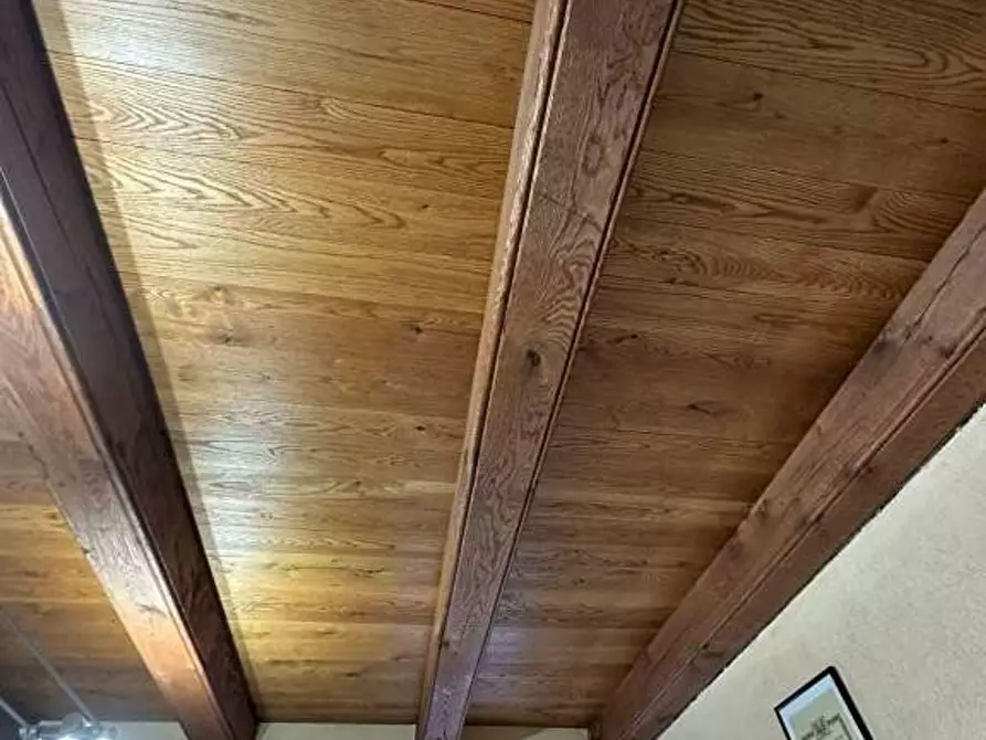 Immagine 24 di Appartamento in vendita  in Torino 11 a Dronero