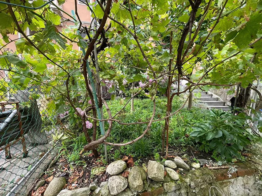 Immagine 24 di Appartamento in vendita  in Strada Comunale Di Cavoretto 70 a Torino