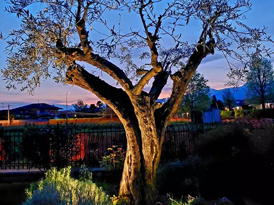 Immagine 36 di Villa in vendita  in Via ai Colli 24 a Ala Di Stura