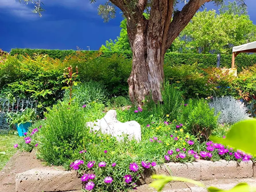 Immagine 53 di Villa in vendita  in Via ai Colli 24 a Ala Di Stura