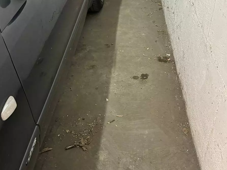 Immagine 23 di Box auto in affitto  in Via Onorato Vigliani 29 a Torino