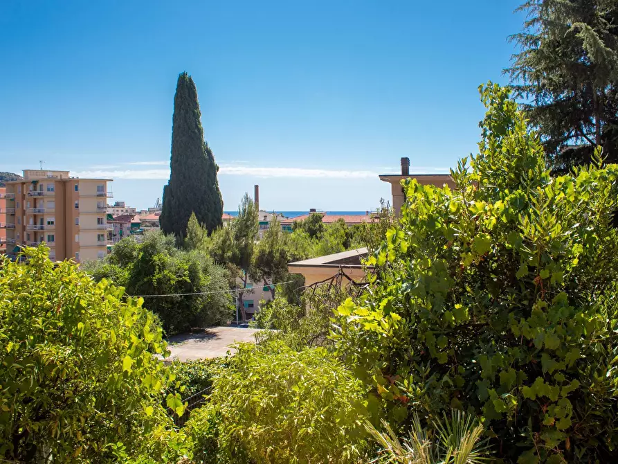 Immagine 23 di Ufficio in affitto  in Viale Matteotti a Imperia