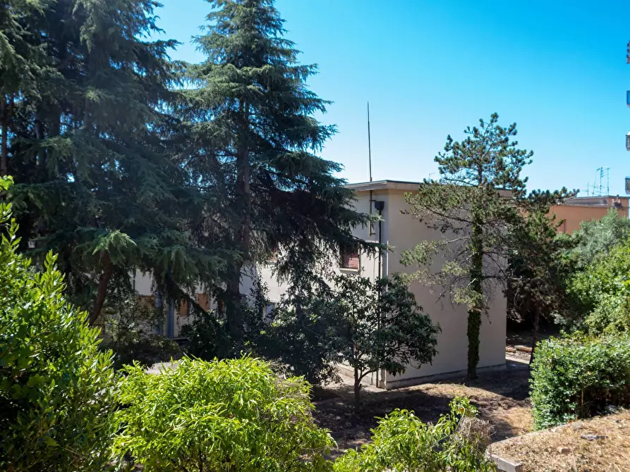 Immagine 25 di Ufficio in affitto  in Viale Matteotti a Imperia