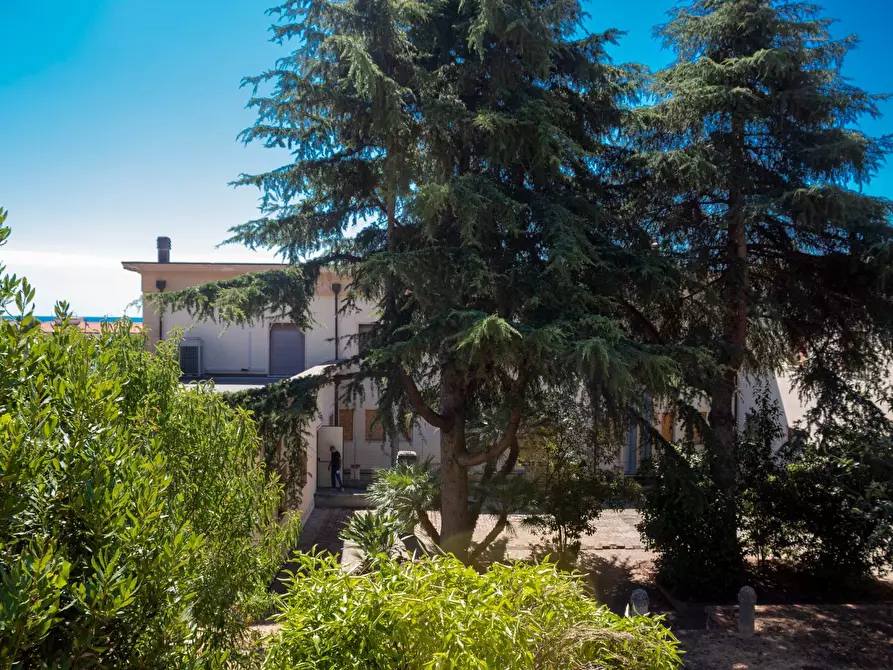 Immagine 26 di Ufficio in affitto  in Viale Matteotti a Imperia