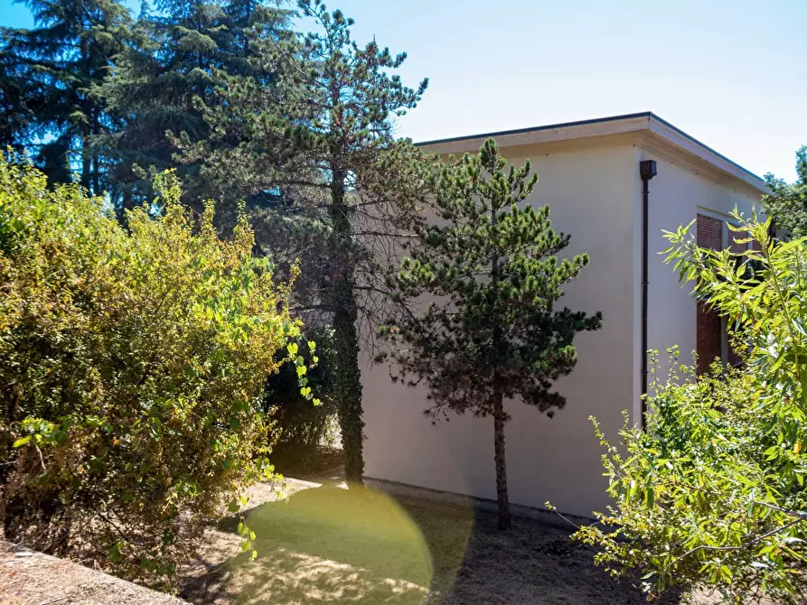 Immagine 24 di Ufficio in affitto  in Viale Matteotti a Imperia