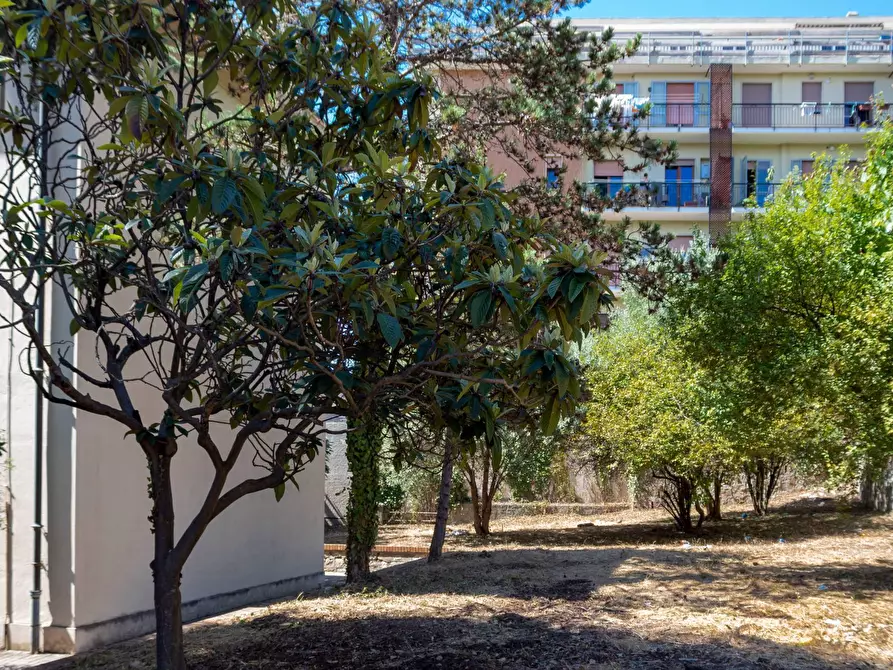 Immagine 27 di Ufficio in affitto  in Viale Matteotti a Imperia