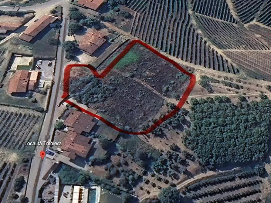 Immagine 5 di Terreno residenziale in vendita  in Località Trifolera a Albaretto Della Torre