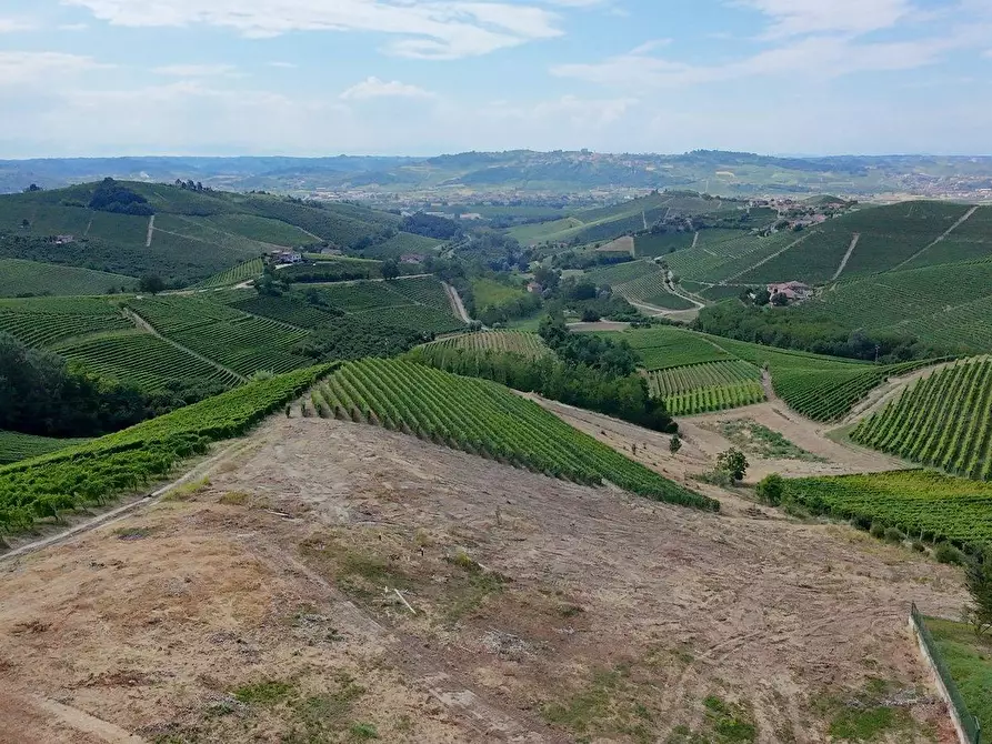 Immagine 2 di Terreno residenziale in vendita  in Località Trifolera a Albaretto Della Torre