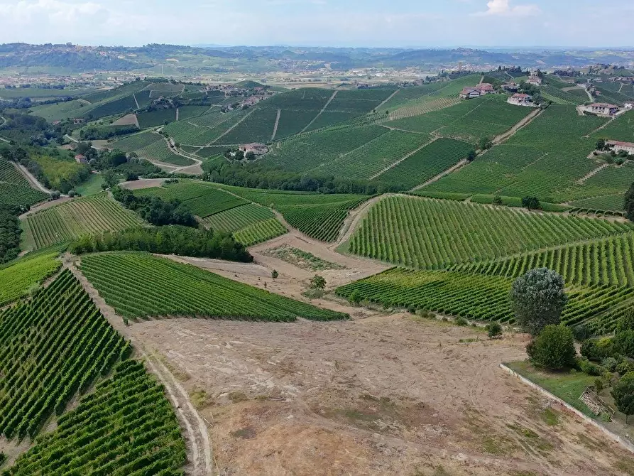 terreno edificabile in vendita ad Albaretto della Torre