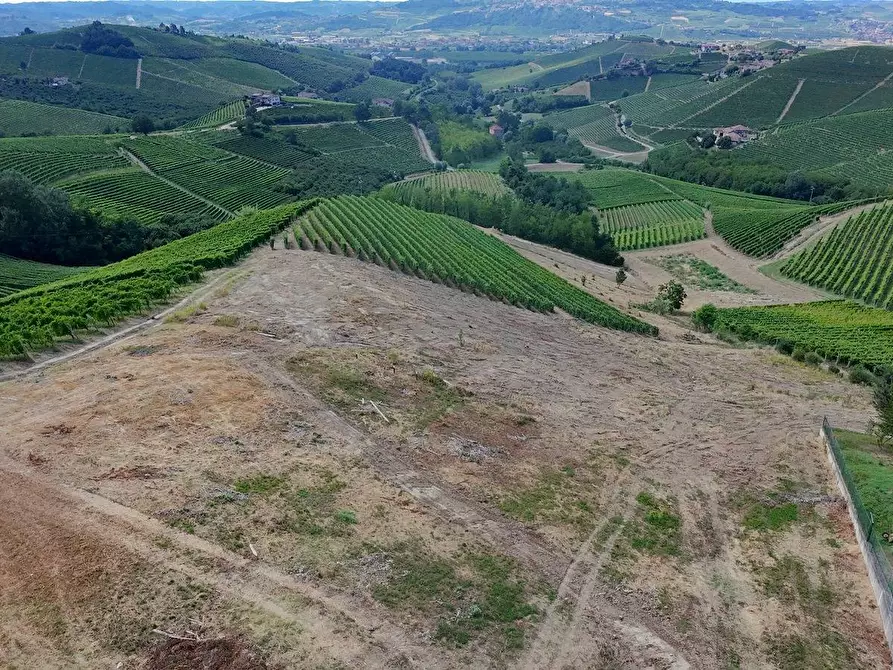 Immagine 12 di Terreno residenziale in vendita  in Località Trifolera a Albaretto Della Torre