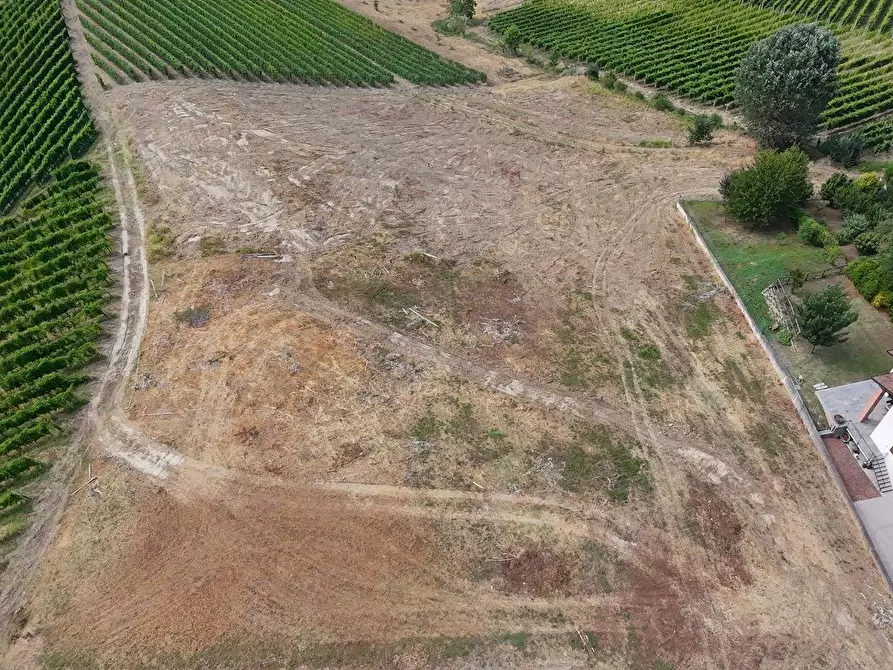 Immagine 13 di Terreno residenziale in vendita  in Località Trifolera a Albaretto Della Torre