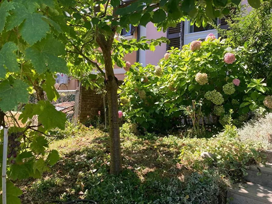 Immagine 36 di Appartamento in vendita  in Strada Comunale Di Cavoretto 70 a Torino