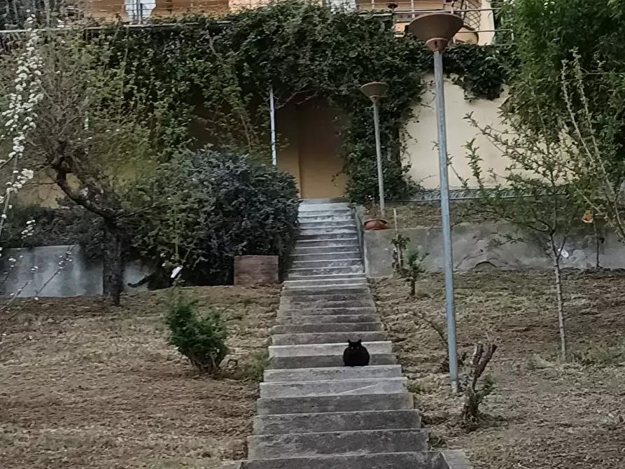 Immagine 28 di Villa in vendita  in via Diani 9 a San Francesco Al Campo