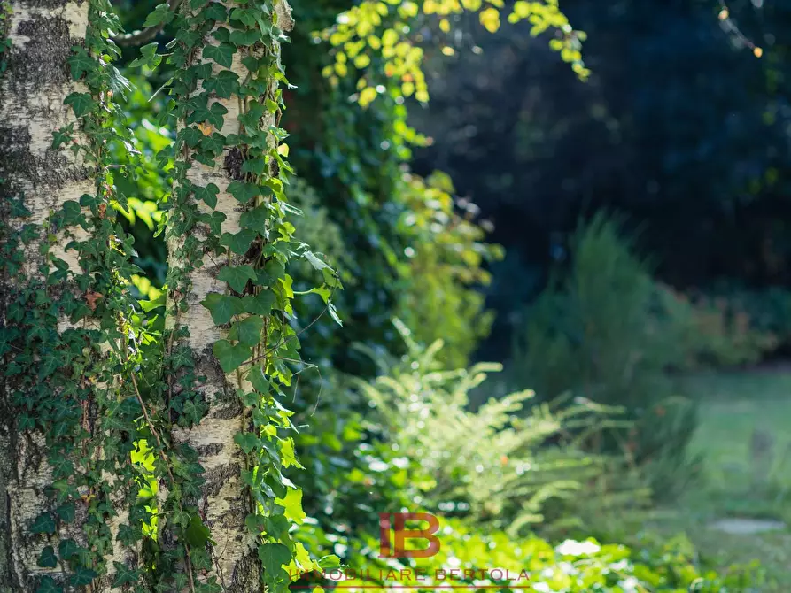 Immagine 49 di Rustico / casale in vendita  in VIA BIGORRA a Cuneo