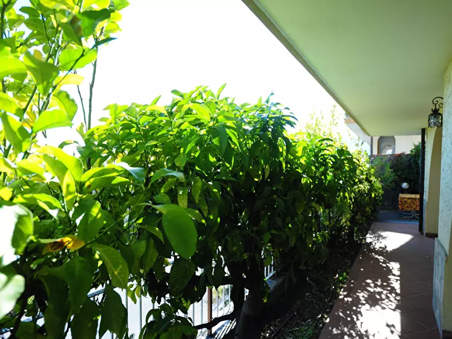 Immagine 29 di Appartamento in vendita  in Via Cappella Nuova 53 a Boissano