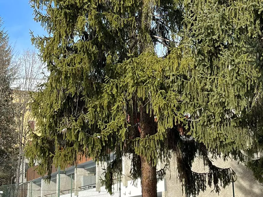 Immagine 22 di Appartamento in vendita  in Via Montello 7 a Bardonecchia