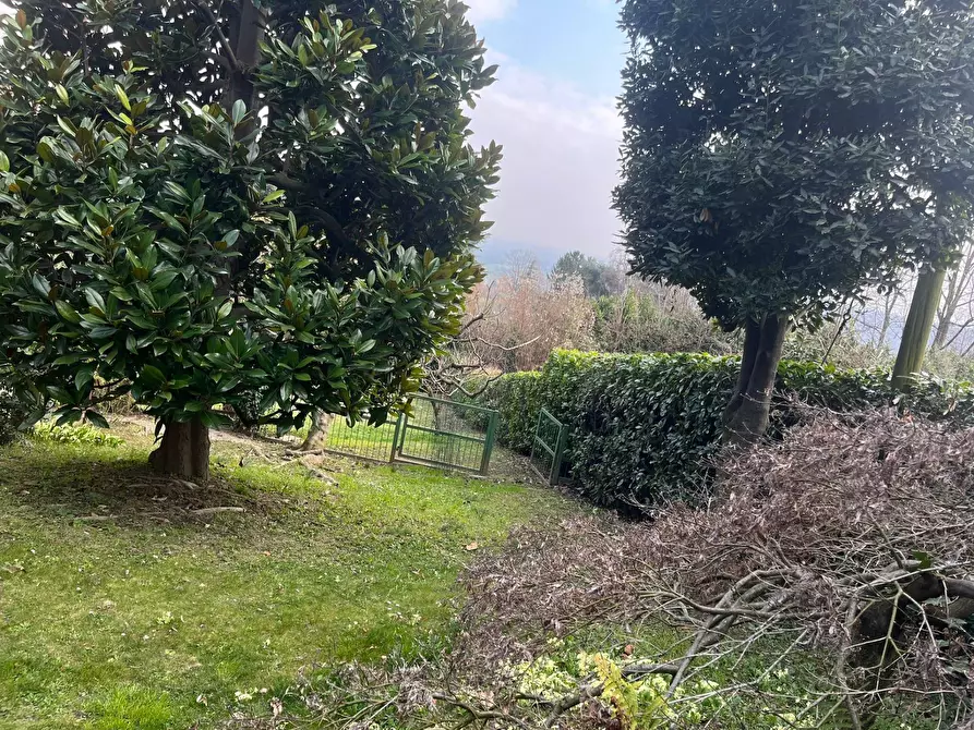 Immagine 82 di Villa in vendita  in Strada Pozzetto 13 a Rivoli