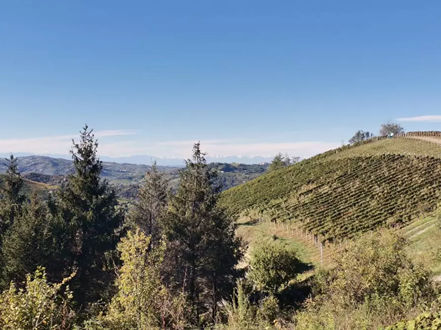 Immagine 12 di Rustico / casale in vendita  in Via Canelli a Cassinasco