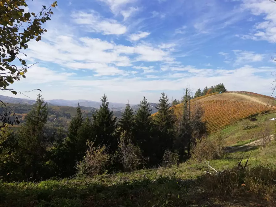 Immagine 13 di Rustico / casale in vendita  in Via Canelli a Cassinasco