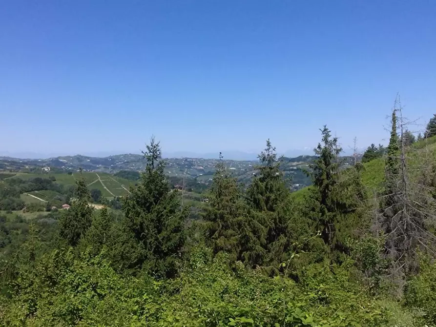 Immagine 21 di Rustico / casale in vendita  in Via Canelli a Cassinasco