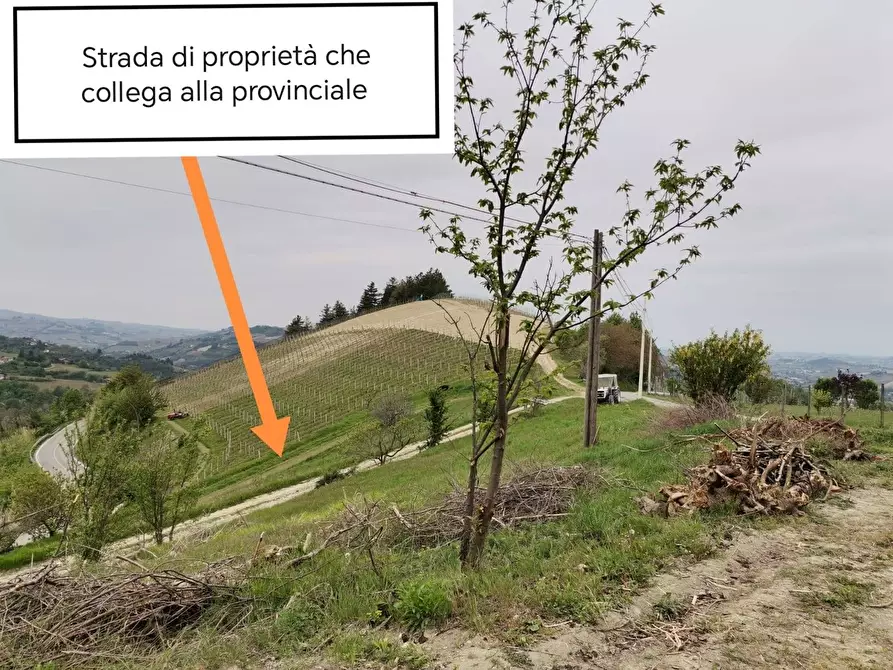 Immagine 16 di Rustico / casale in vendita  in Via Canelli a Cassinasco