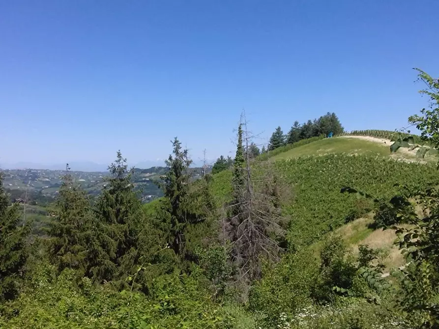 Immagine 15 di Rustico / casale in vendita  in Via Canelli a Cassinasco